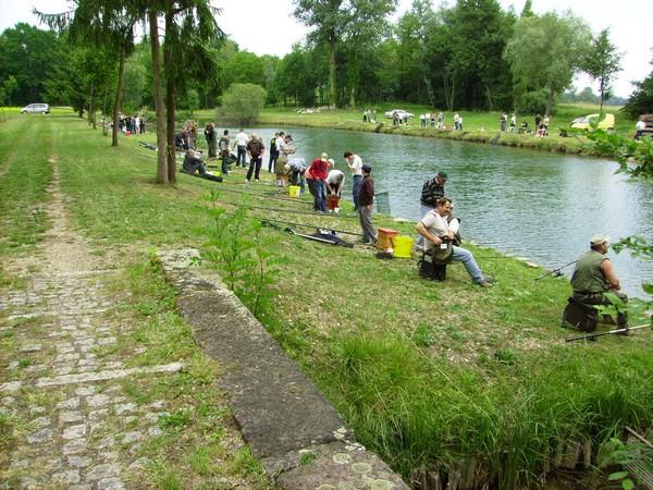 Etang artolsheim